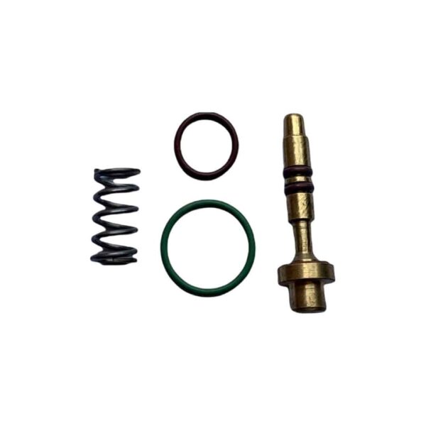 Kit Reparo da Válvula - Guarany